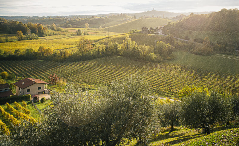 Giusti Wine Prosecco