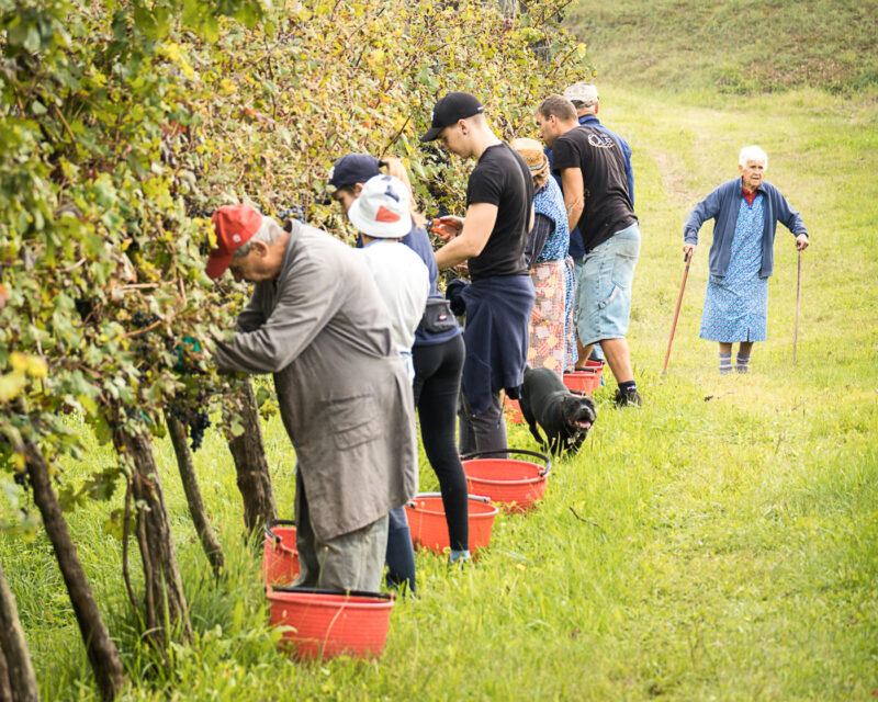 Giusti Wine Prosecco