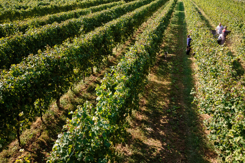 Giusti Wine Prosecco