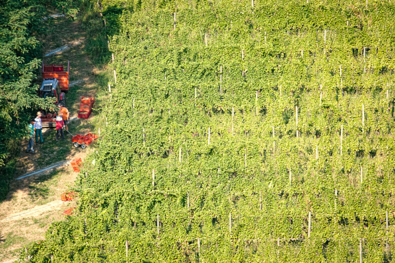 Giusti Wine Prosecco