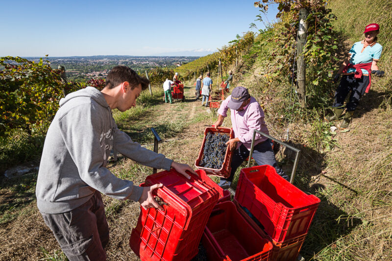 Giusti Wine Prosecco