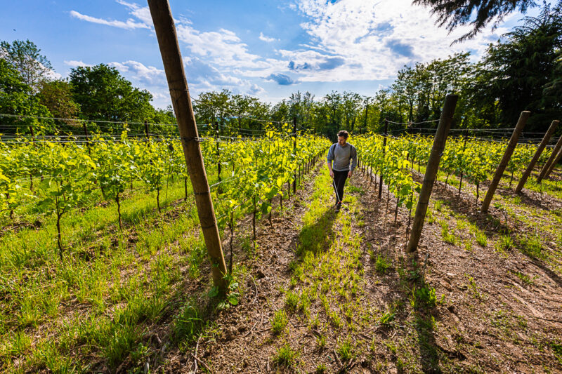 Giusti Wine Prosecco