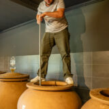 marco-tortato-collio-2024-500-17
