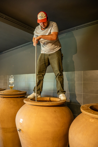 marco-tortato-collio-2024-500-17