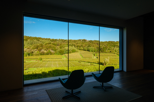 marco-tortato-collio-2024-500-18
