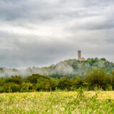 marco-tortato-collio-2024-500-19