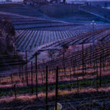 marco-tortato-collio-2024-500-2
