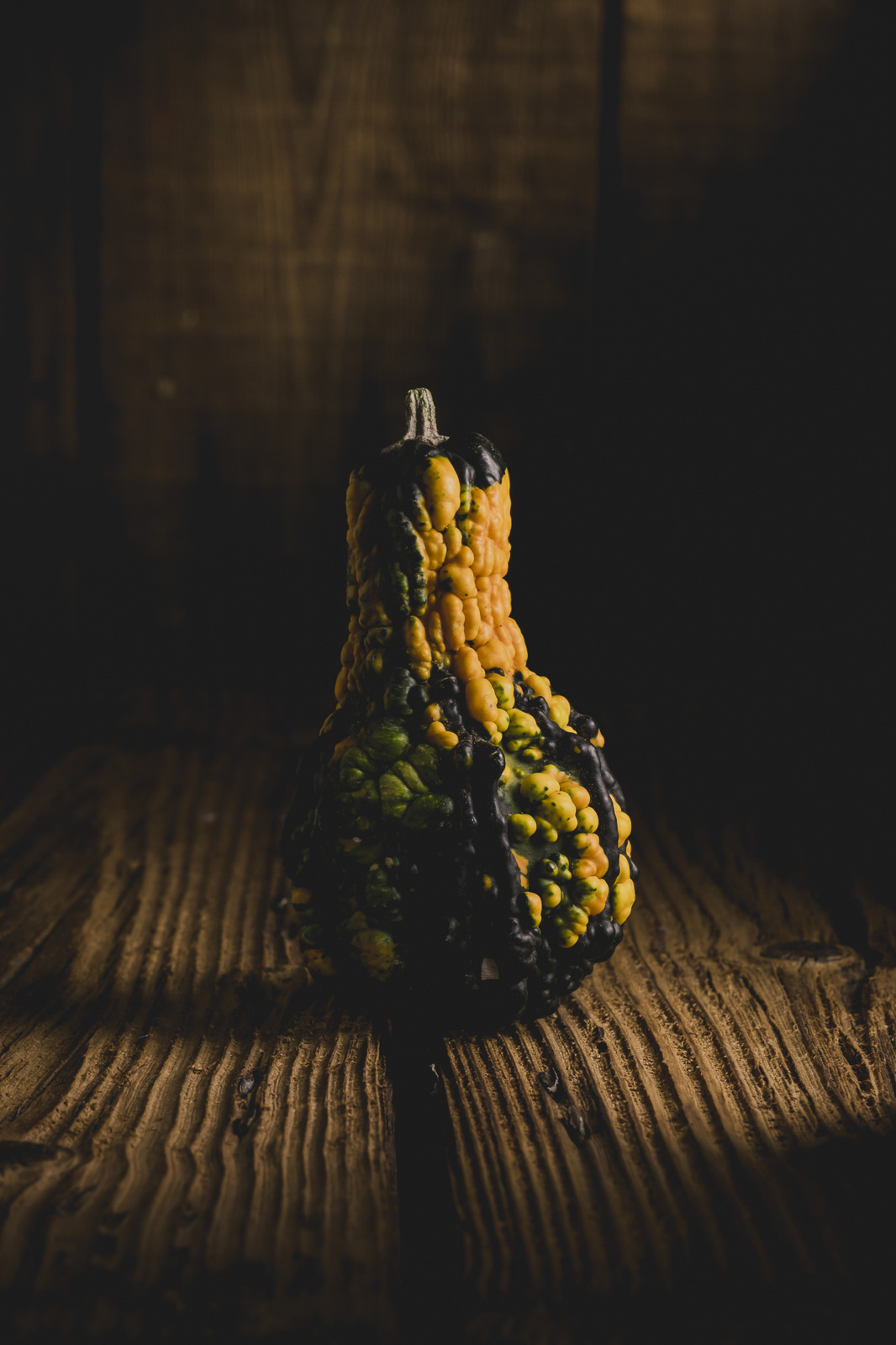 Zucca ornamentale illuminata lateralmente su un piano di legno scuro
