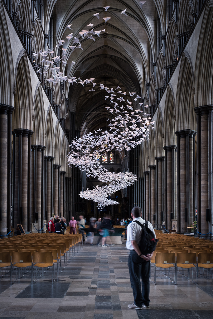 Interno della Cattedrale di Salisbury con installazione di uccelli sospesi e visitatore in primo piano